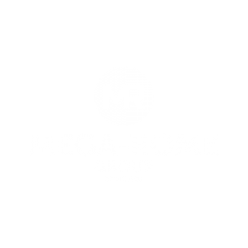 logo-mehomegroup-branco-vert